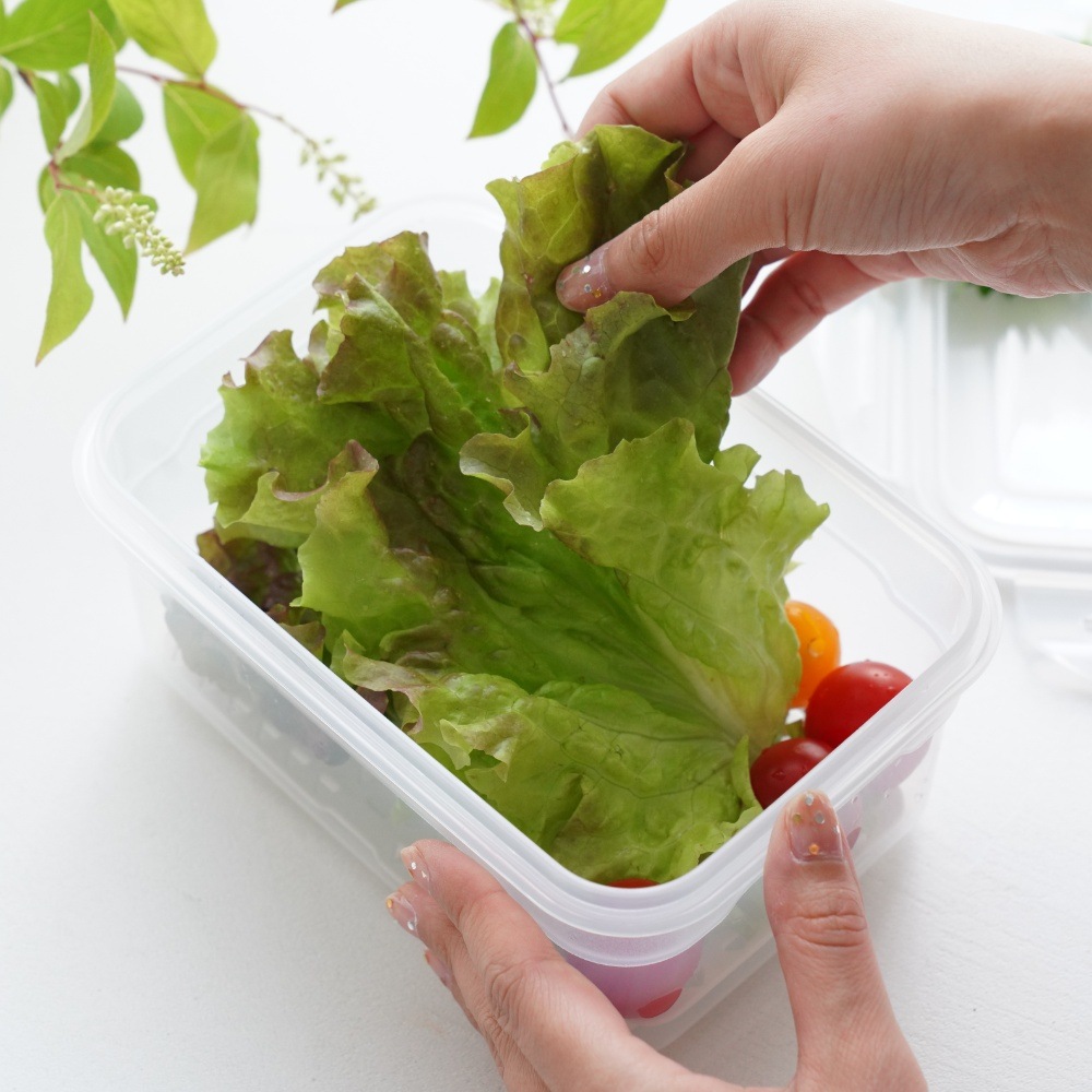 真空保存容器セット｜ 四季折々のおしゃれな和食器通販サイト