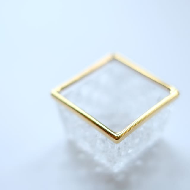 籠目 ガラス角珍味 金付