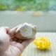 【今期完売】菊の置上蛤香合 豆サイズ 4枚目のサムネイル
