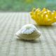 【今期完売】菊の置上蛤香合 豆サイズ 9枚目のサムネイル