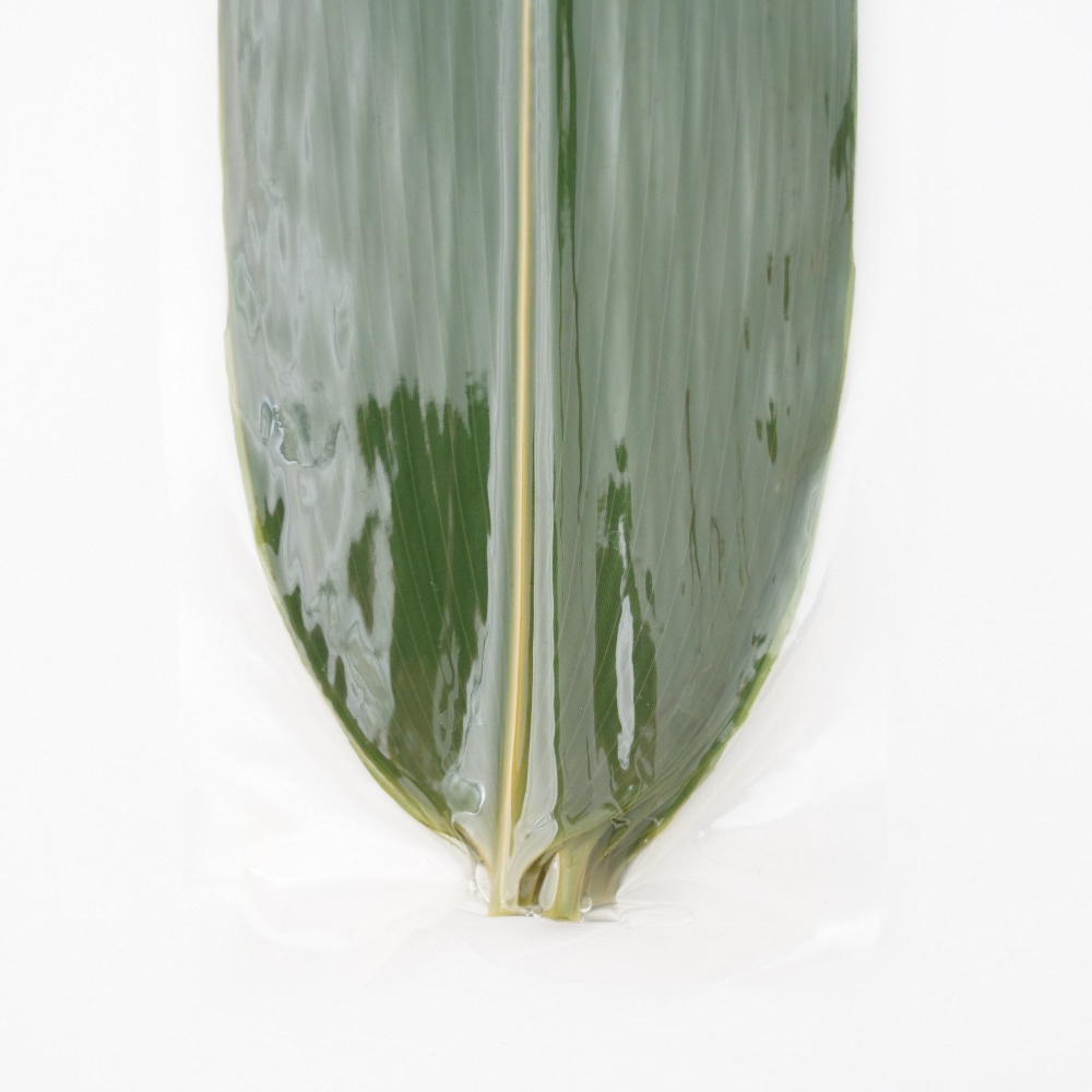 青笹（M)　20枚入り