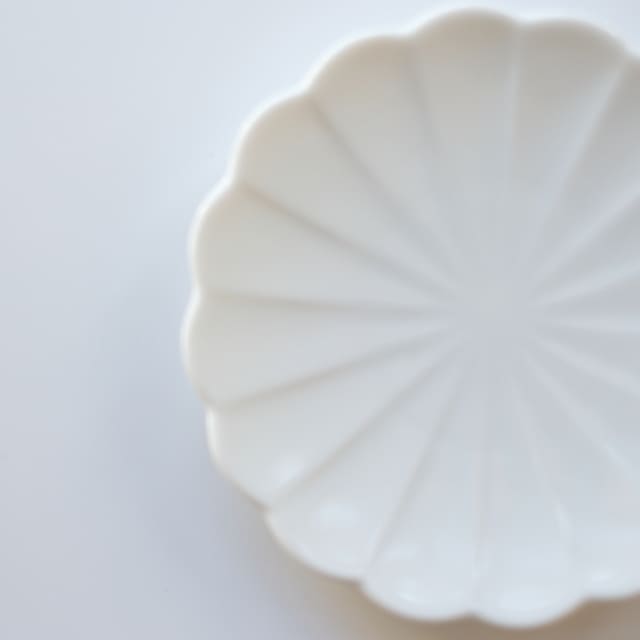 言花  11ｃｍ　小皿 福寿草 白