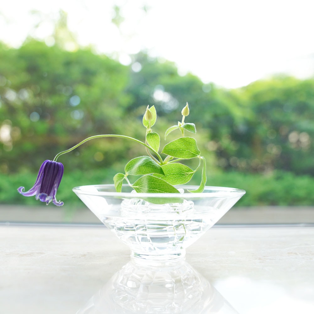 四季折々のおしゃれな和食器通販サイト FOURGRACE (フォーグレース)