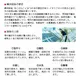 てぬぐい フルーツポンチ(日本製)　 8枚目のサムネイル