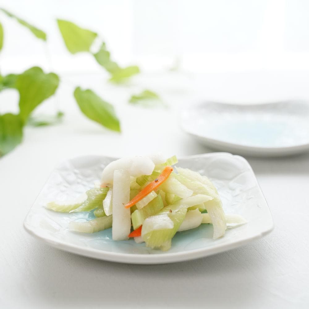 日本製】ちゅら 四角5.0皿5枚セット｜ 四季折々のおしゃれな和食器通販