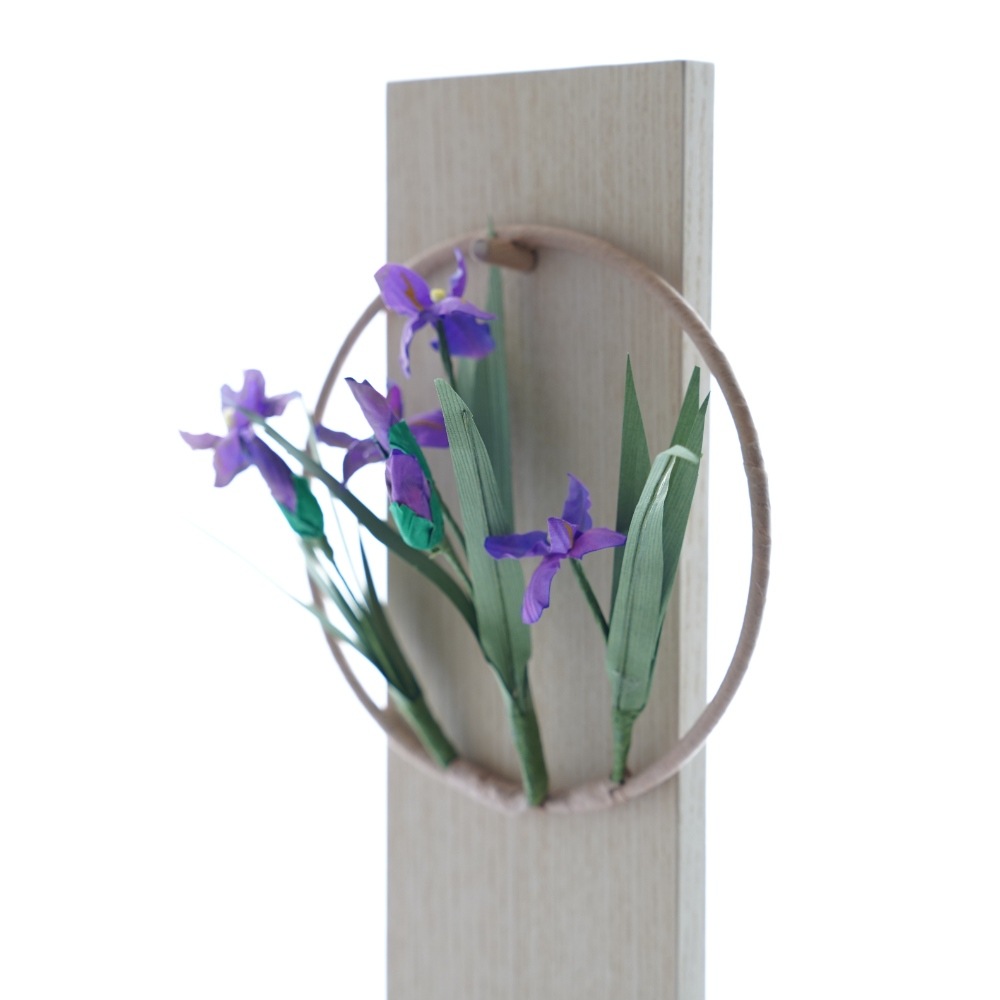 【予約/4月下旬出荷】平薬 菖蒲