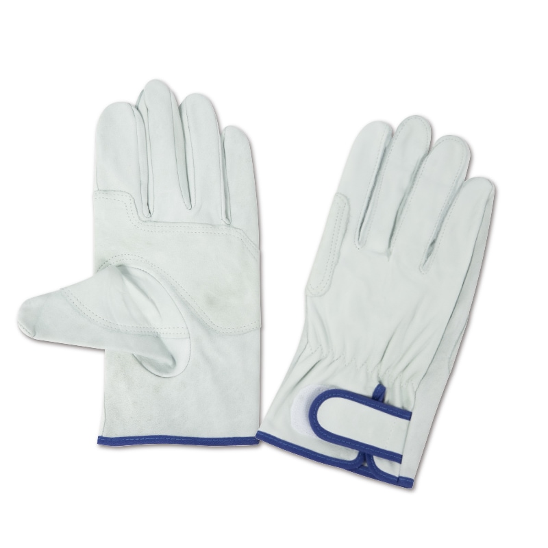 グローブ | FS・JAPAN