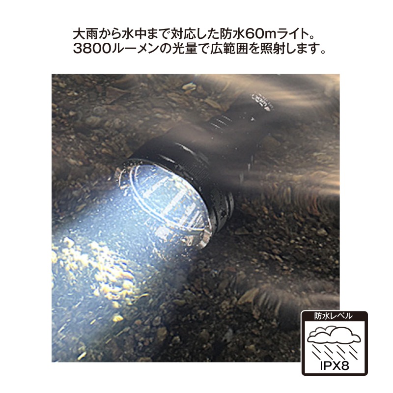 QXL ダイバーライト アメリカ製 Lighting