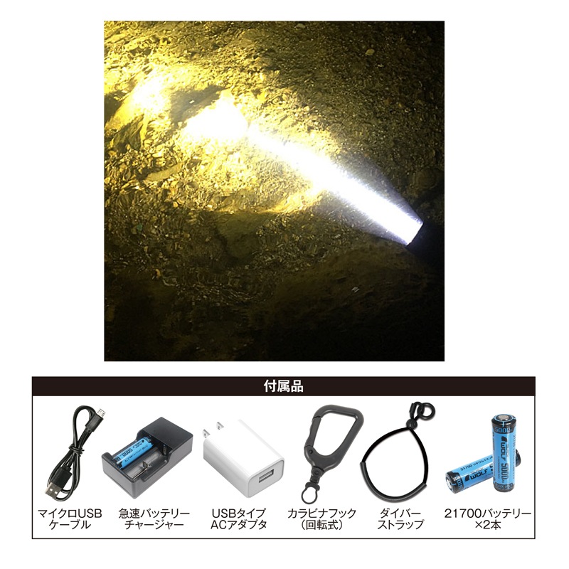 BLACK WOLF ダイバーライト3800WP | ハンディーライト | FS・JAPAN