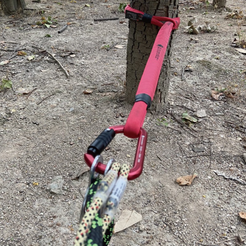 Rhino E201 ［80cm］ | Xモンスター | FS・JAPAN