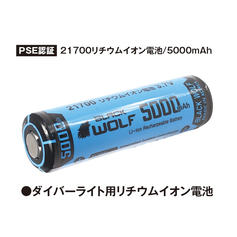 12V 高性能リチウムイオンバッテリー 約4.5時間持続 日本製 RD9590PJ