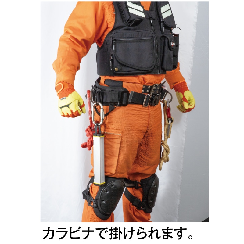 Radial Phazer フェーズアライメントツール 国内正規品 Radial Phase