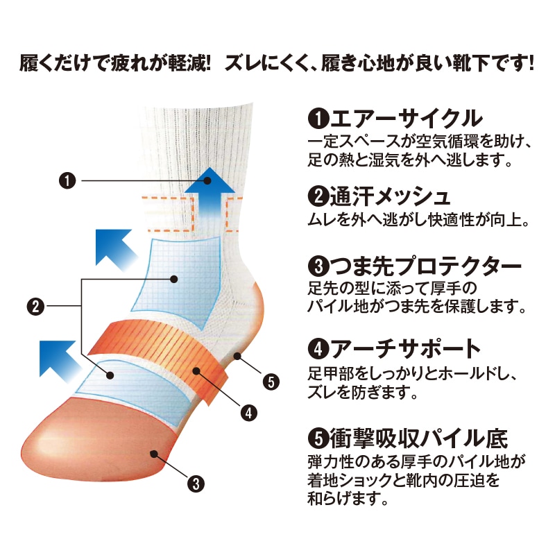 サポマックス［五本指タイプ］ | 足回り装備品 | FS・JAPAN