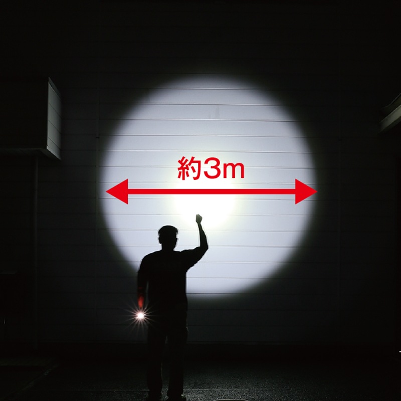 BLACK WOLF ワールダーライト1200 | ハンディーライト | FS・JAPAN