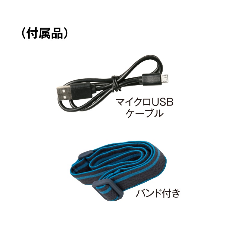デュアルキャップライト