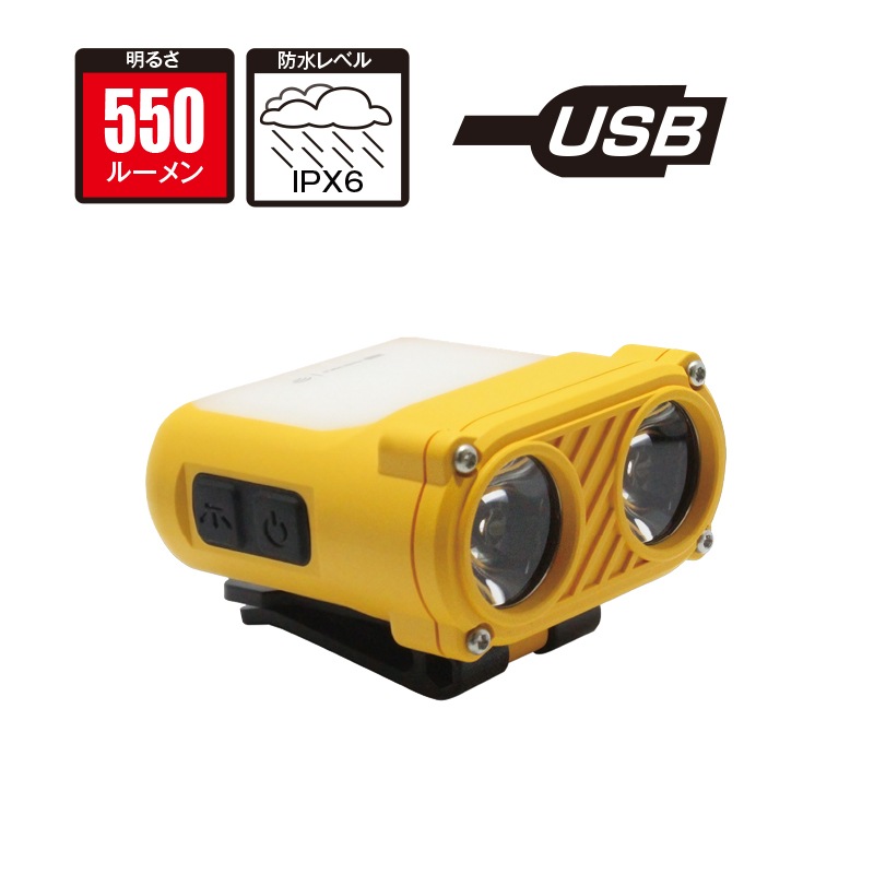 ライト美容器 ボディライト550R | ボディーライト | FS・JAPAN