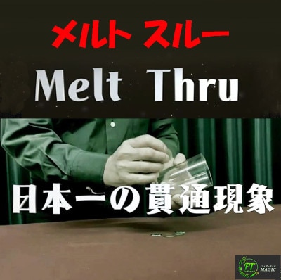 メルトスルー（コイン好きには超オススメ）