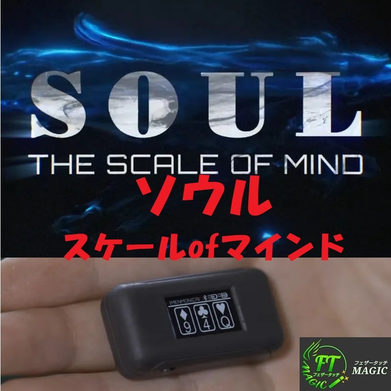 ソウル（極小・超高精度センサー）