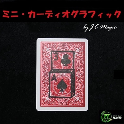 DVD：レナート・グリーンのマスターファイル（4枚セット：日本語版