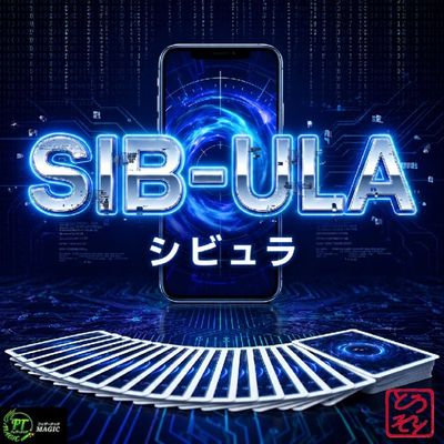 シビュラ(観客のカードをスマホが探し出す)