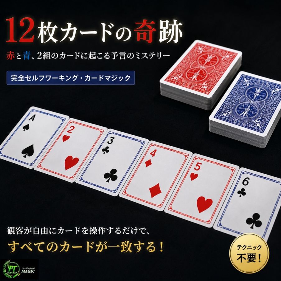 DVD：サブライム・セルフワーキング・カードトリック｜DVD