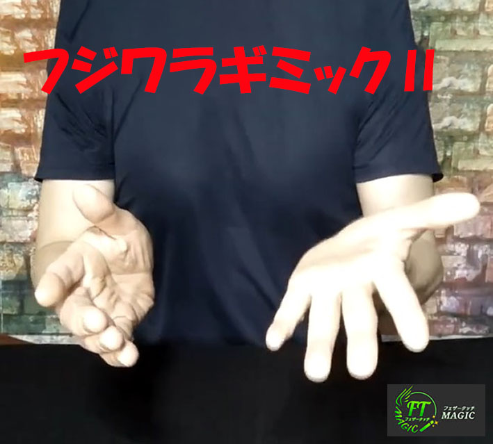 フジワラ・ギミック２＜大＞