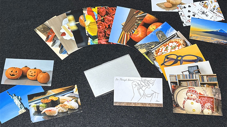 シースルー・ボイス（声を聞いて？当てる！）