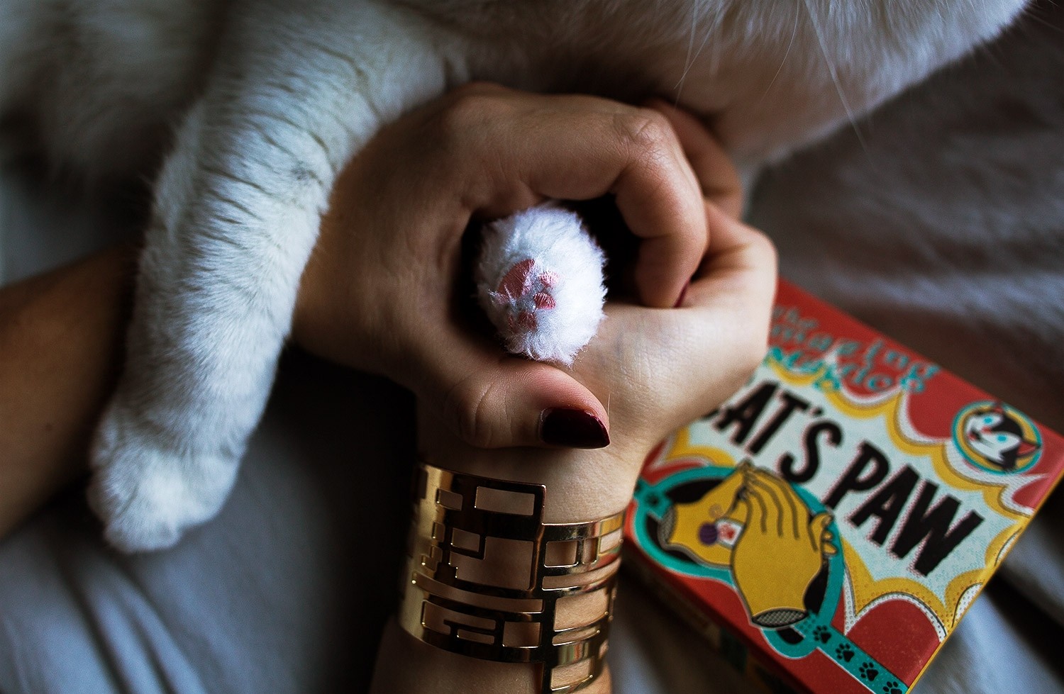 ネコの手（インビジブルキャット）｜その他一般マジックやメンタル