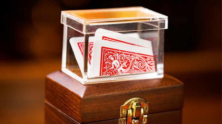 ミステリー・ソルブド：ネスト・オブ・ボックス｜メンタル,予知・予言