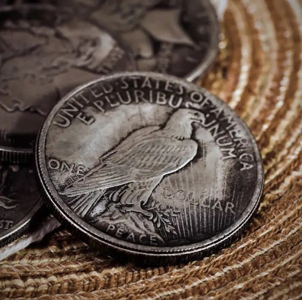 CS・ピース・ダラー（レプリカ・シェルセット）