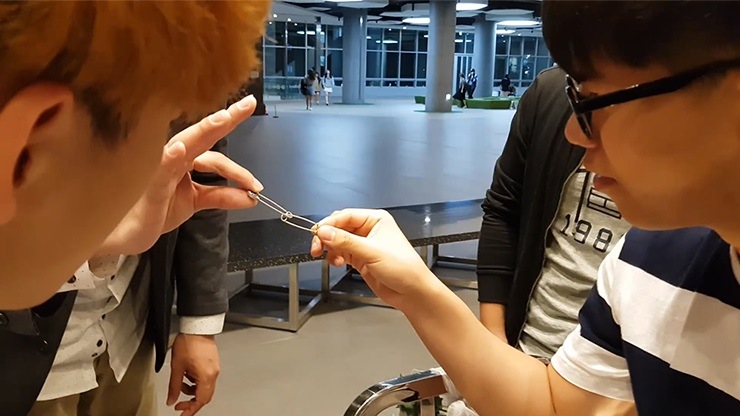 ピン・クレディブル（新リンキングピン）