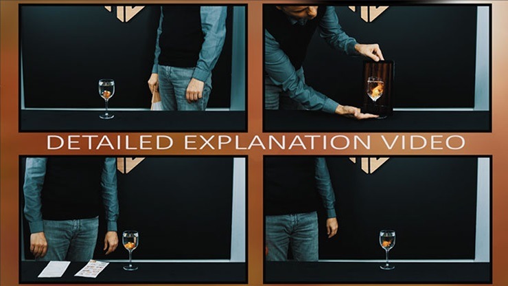 シーライフ（簡単・安全な金魚の出現）