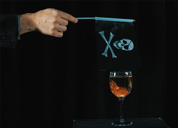 シーライフ（簡単・安全な金魚の出現）