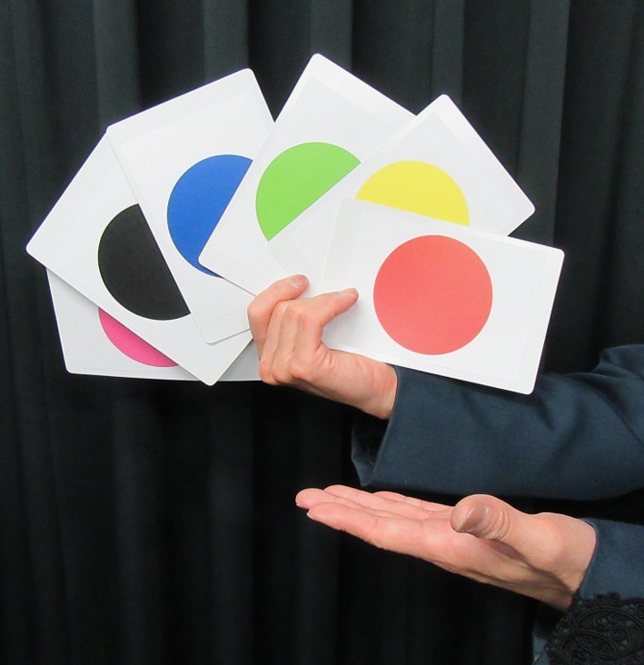 マジック　メンタルメカTRUE ドキドキルーレット（ゲーム感覚の新予言マジック）｜メンタル,予知