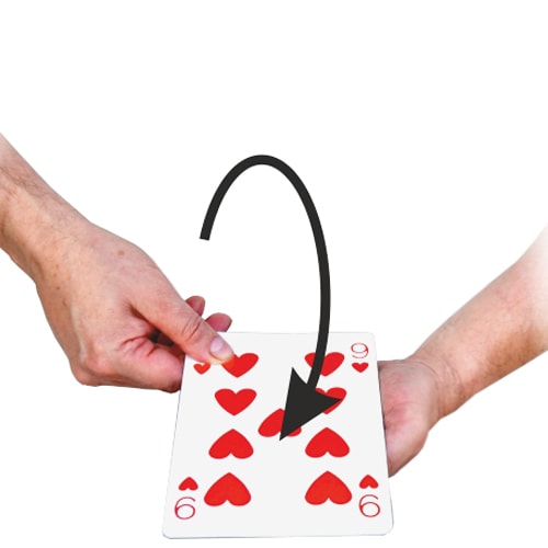 再値下げ！マジック起きるかも！？ セル・アウト（デックが消える・変化！）｜全商品一覧やメンタル