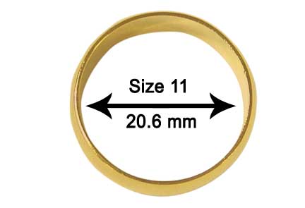 DVD:リング・マスター(リング付き)