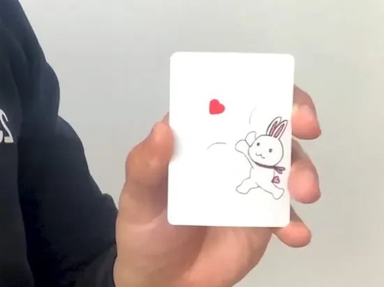 バニー・ハート・スポンジ(ハートが移動!変化!実体化!)