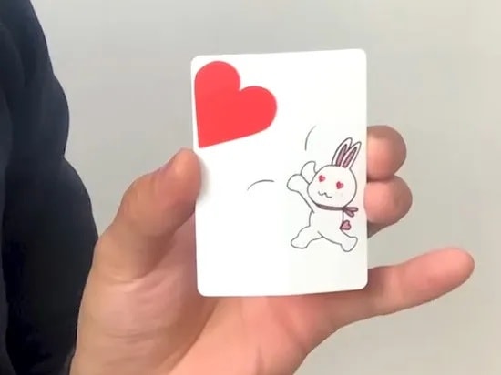 バニー・ハート・スポンジ(ハートが移動!変化!実体化!)