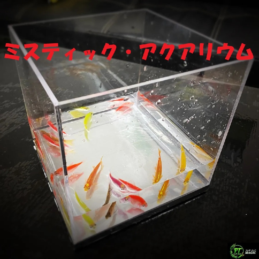 ミスティック・アクアリウム（透明の箱に金魚が出現）
