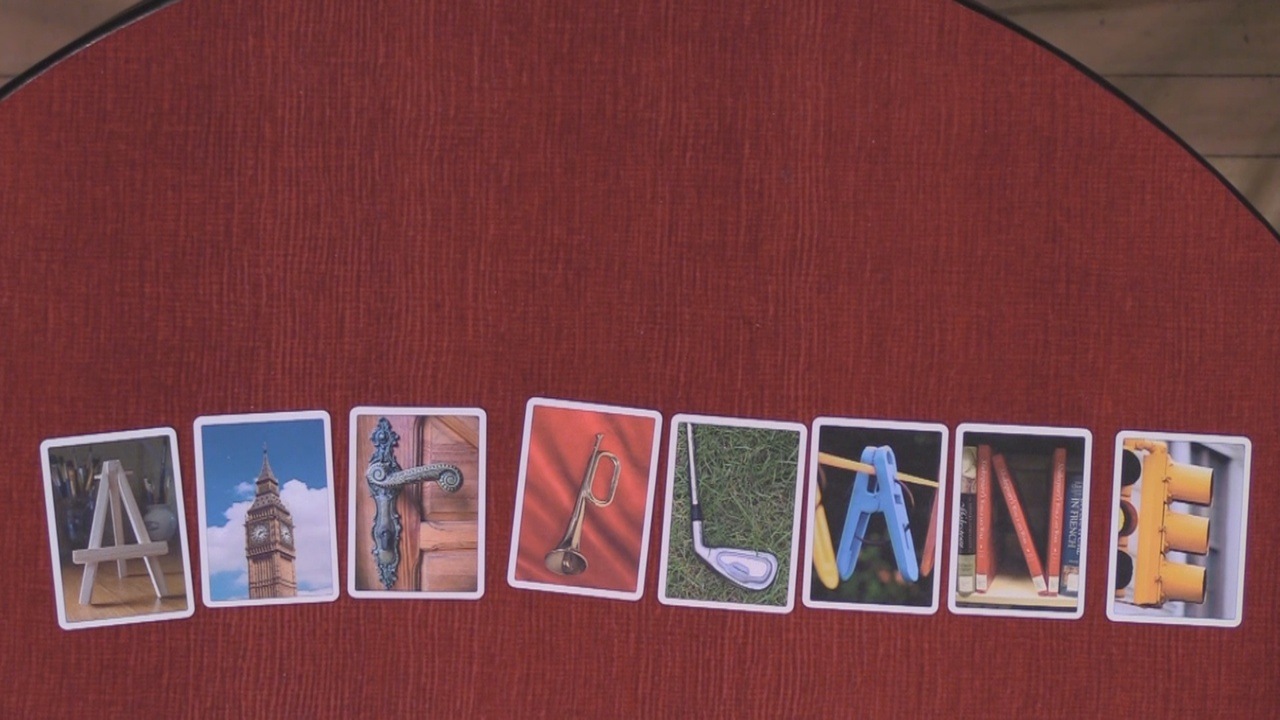 スナップス（写真カードに隠された秘密）