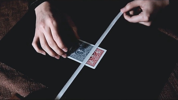 トゥルーカラーズ（カードが目の前で徐々に変化）｜カード