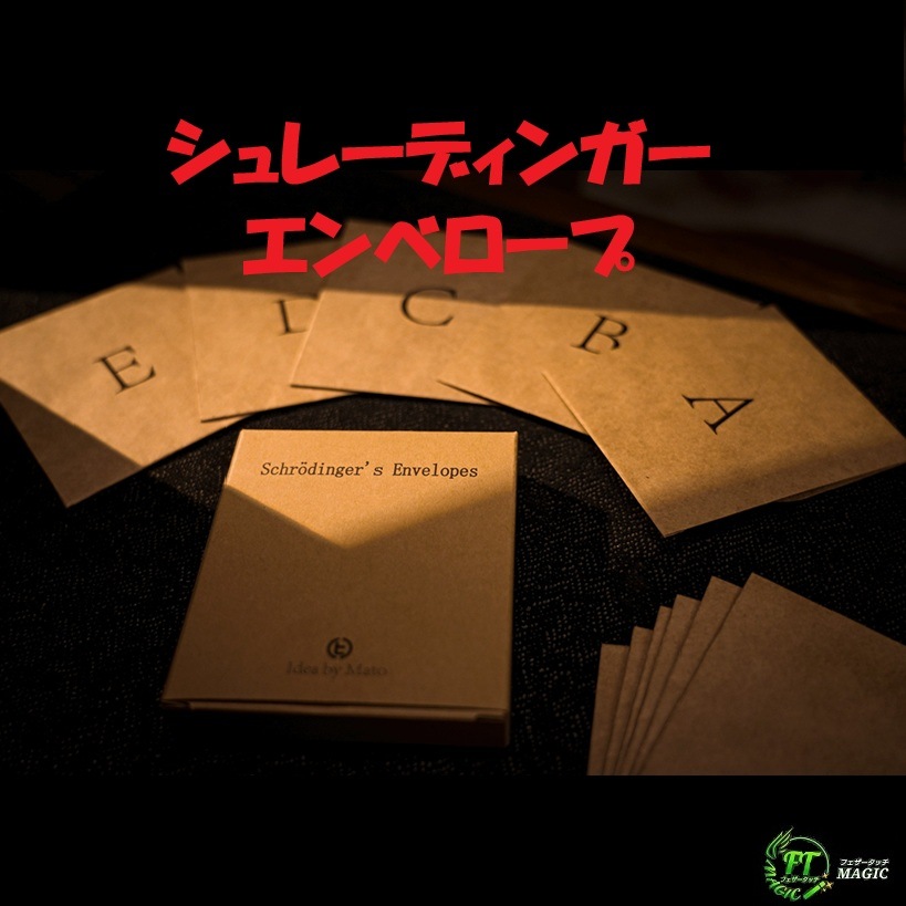シュレーディンガー・エンベロープ（選んだカードは予言と一致）