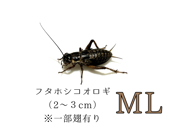 �ե��ۥ�ML��1000ɤ����1990ɤ�ޤ�