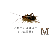 �ե��ۥ�M��10ɤ����490ɤ�ޤ�