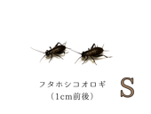 �ե��ۥ�S��10ɤ����490ɤ�ޤ�