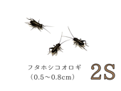 �ե��ۥ�2S��10ɤ����490ɤ�ޤ�