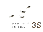 �ե��ۥ�3S��10ɤ����490ɤ�ޤ�