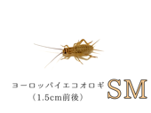 ������SM��500ɤ����990ɤ�ޤ�