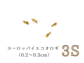 ������3S��500ɤ����990ɤ�ޤ�