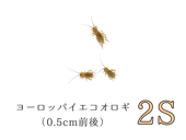 ������2S��2000ɤ����5000ɤ�ޤ�